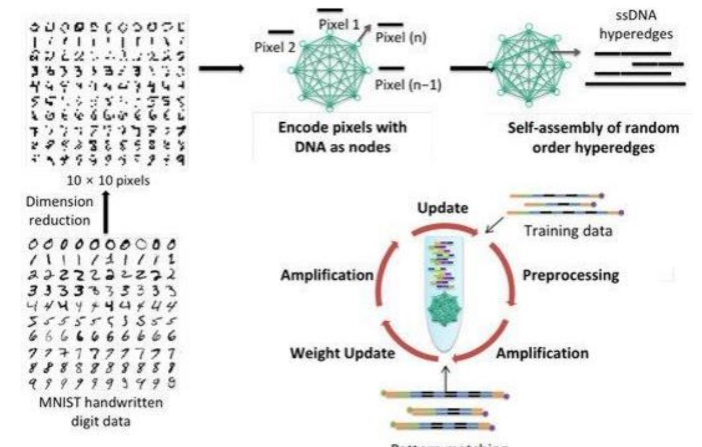 (PDF) Modern Applications and Challenges of DNA Computing