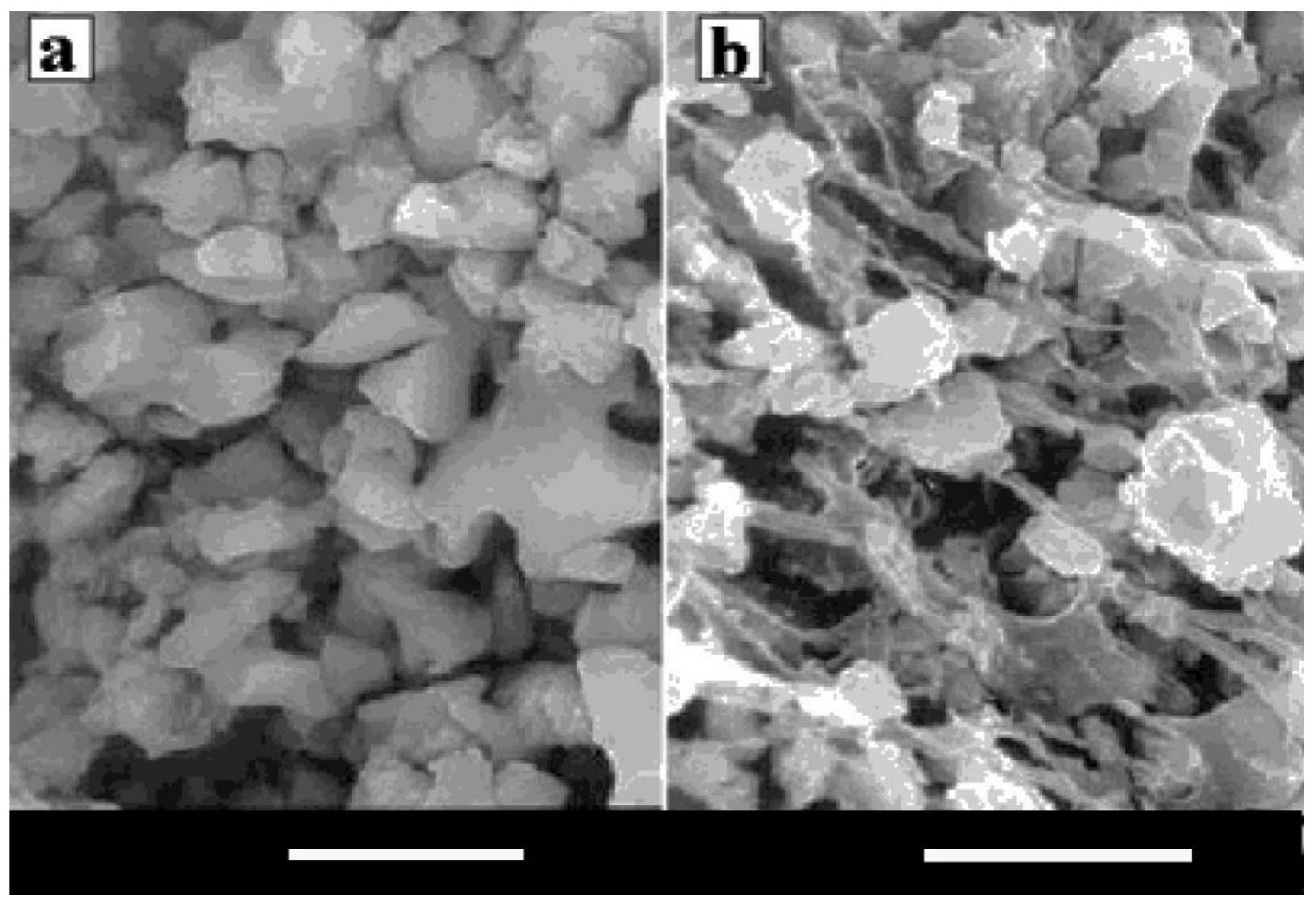 KATO C -571次形2024 PDF) Calcium Orthophosphate (CaPO4) Containing Composites for