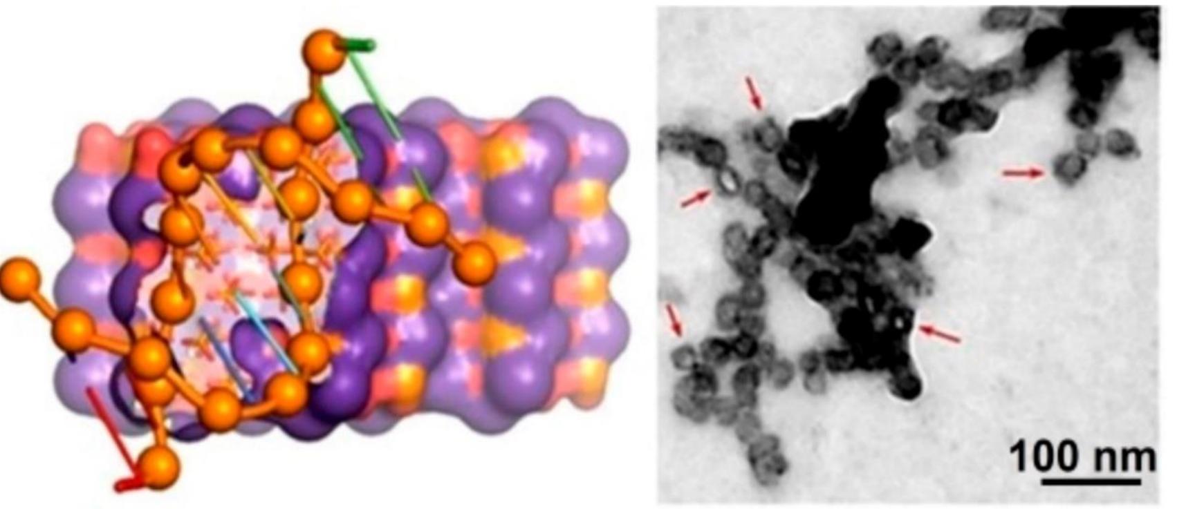 PDF) Calcium Orthophosphate (CaPO4) Containing Composites for