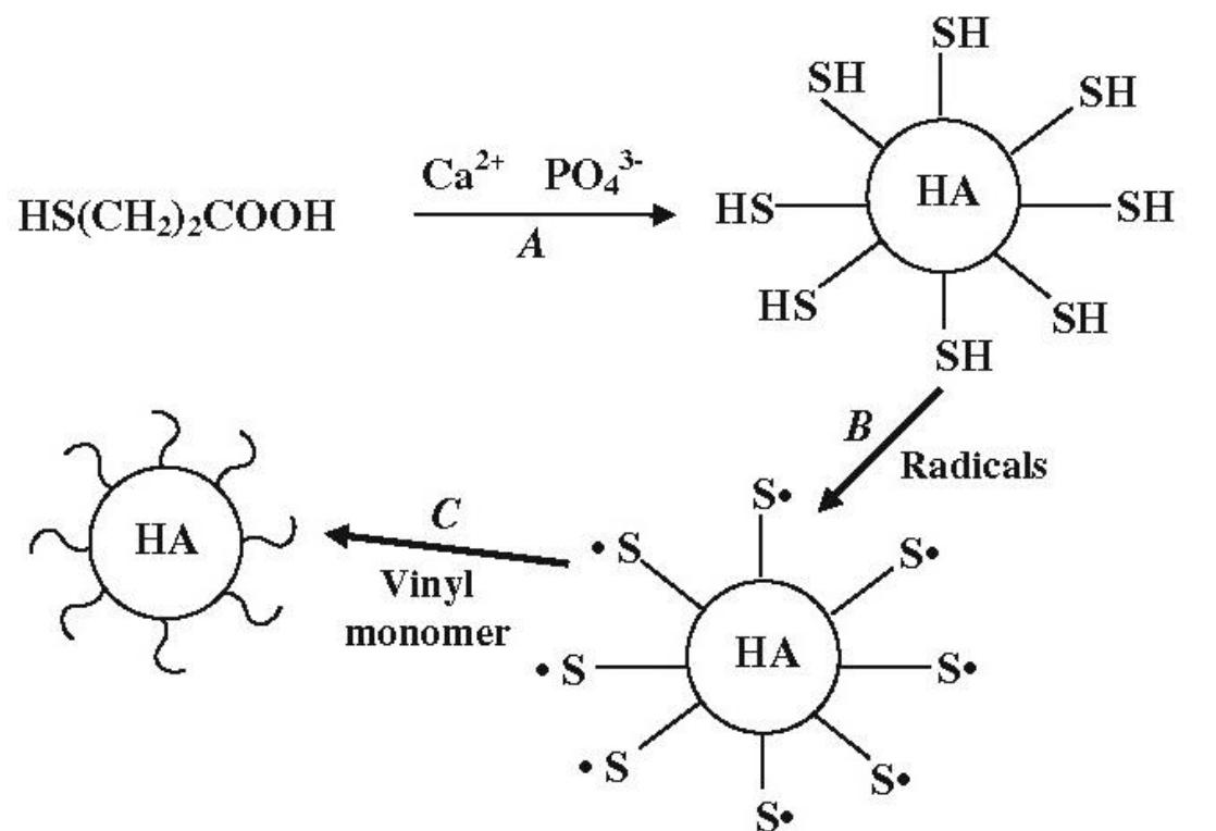 KATO C -571次形2024 PDF) Calcium Orthophosphate (CaPO4) Containing Composites for