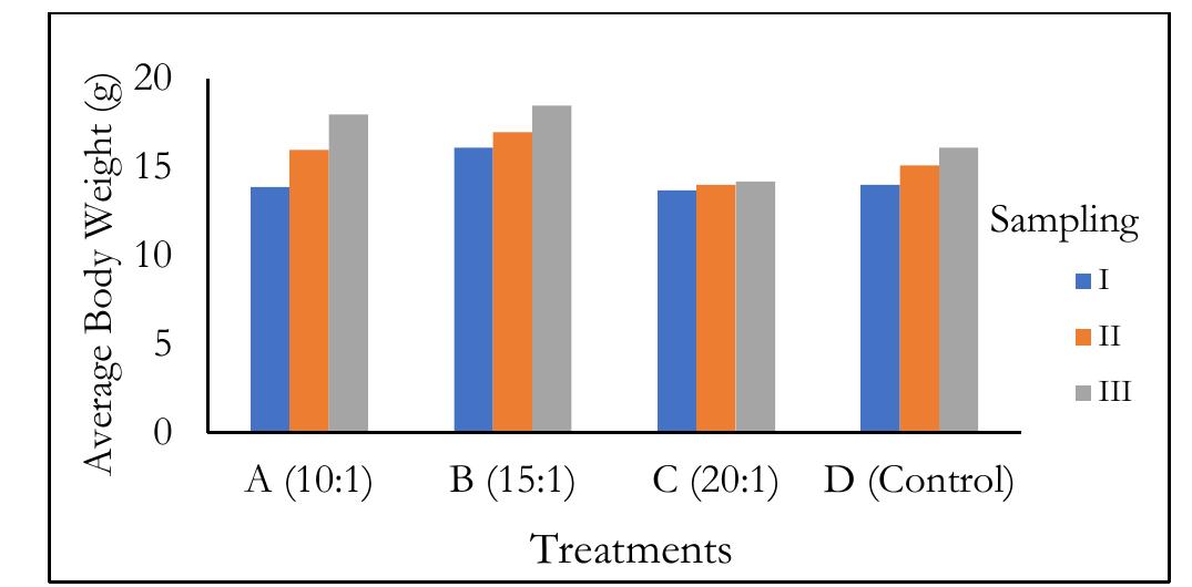 (PDF) Enhancing Catfish (Clarias sp.) Farming Production and Economic ...