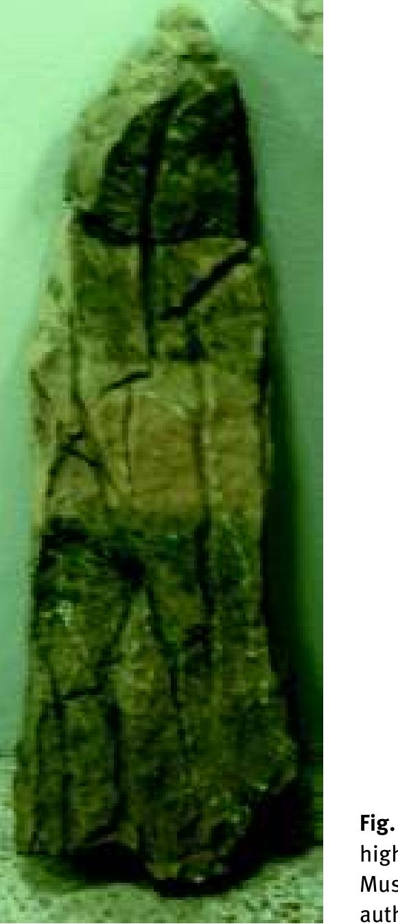 covered by parts of two sections in chaeological Sites in Iraq (Salman Ancient mounds in each nahiya are  he volume entitled Ar- 1970, 280-282, 290f.). there listed by name in  alphabetical order, together with the name of the nearest village. Periods of occupation are indicated (Salman 1970.  5), naturally of unequal length, wi pied more than once; Reade was to  datings of sites visited during t  ained, and that the quality o Navkur is covered by parts of  976, Maps 51, 128). Here  hese and other suc  wo maps in the re  ume, Atlas of the Archaeological Sites in Iraq  he mounds are  numbers, in an order which looks like that in w were visited and consequently numbered during the sur. vey; a list in numerical order gives the names, nearly all o! which can be correlated with those in the earlier volume.  h some mounds occu- d in the 1960s that the  h surveys  mainly relied on surface sherds, which were not usually re. f the data was inconsistent  ated vol- (Salman assigned  hich they 