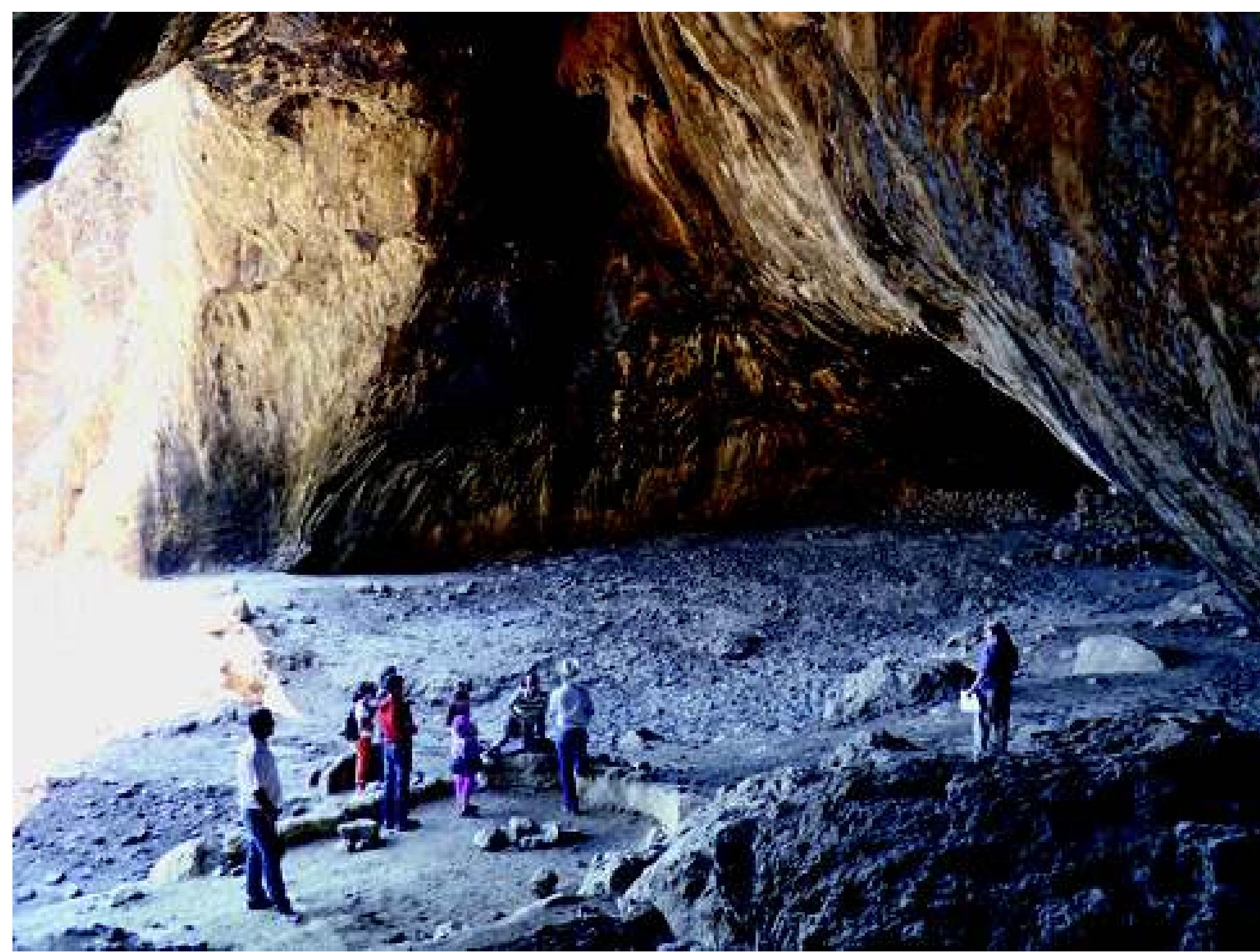 Fig. 5: Shanidar cave interior. Photograph: authors, June 2009  Sinjar-Tel’afar region, to be almost a type-fossil of the late third millennium, although a few are later;  present floor-level, reaching back towards 100,000 BC (Fig. 5).  We had a brief op one place, Gird-i Amian. The vi km north-north-east of Bardaresh. It adjoins a substan-  tial humpbacked  m in area and up to 1 ettlement defined there as Neo-Assyrian  with periods of s  Ova  and Islamic (Salman  have time to ins  pect  mound w 0 m high.  970, 290;  he base o  case the western side, where t should have been available (with the prevailing wind  coming from tha  portunity of checking the records at  lage of this name lies 4  hich is about 300 by 200 It is No. 54 on the Atlas,  976, Map 51). We did not f the mound, and in any he best range of sherds  direction), is largely covered by houses  and gardens. The summit of the mound seemed to have been scraped down in part, as if it were a source of clay, and not much distinctive material was visible on the sur- face, but a walk of some five minutes produced the fol- lowing items (Fig. 6):  2. A jar sherd with a hatched incised triangle on the 