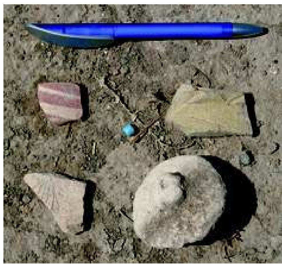 Fig. 6: Gird-i Amian surface finds. Photograph: authors, June 2009  recognised during the 1949 survey. While this is merely one site, it does raise the question whether comparable evidence from other sites in Navkur may not also have gone unrecognised, which would support the hypothesis that communities of the third and second millennia at least are under-represented in the published survey rec-  ords. 