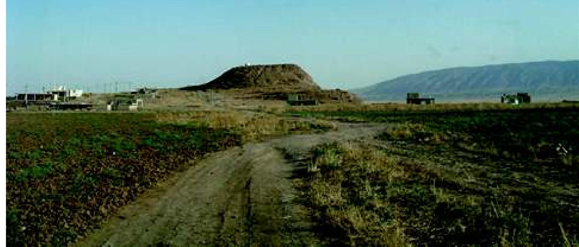 Fig. 7: Tell Gomel: looking south, with Jebel Maqlub beyond. Photograph: Dr Bewar Khanesi, July 2010 