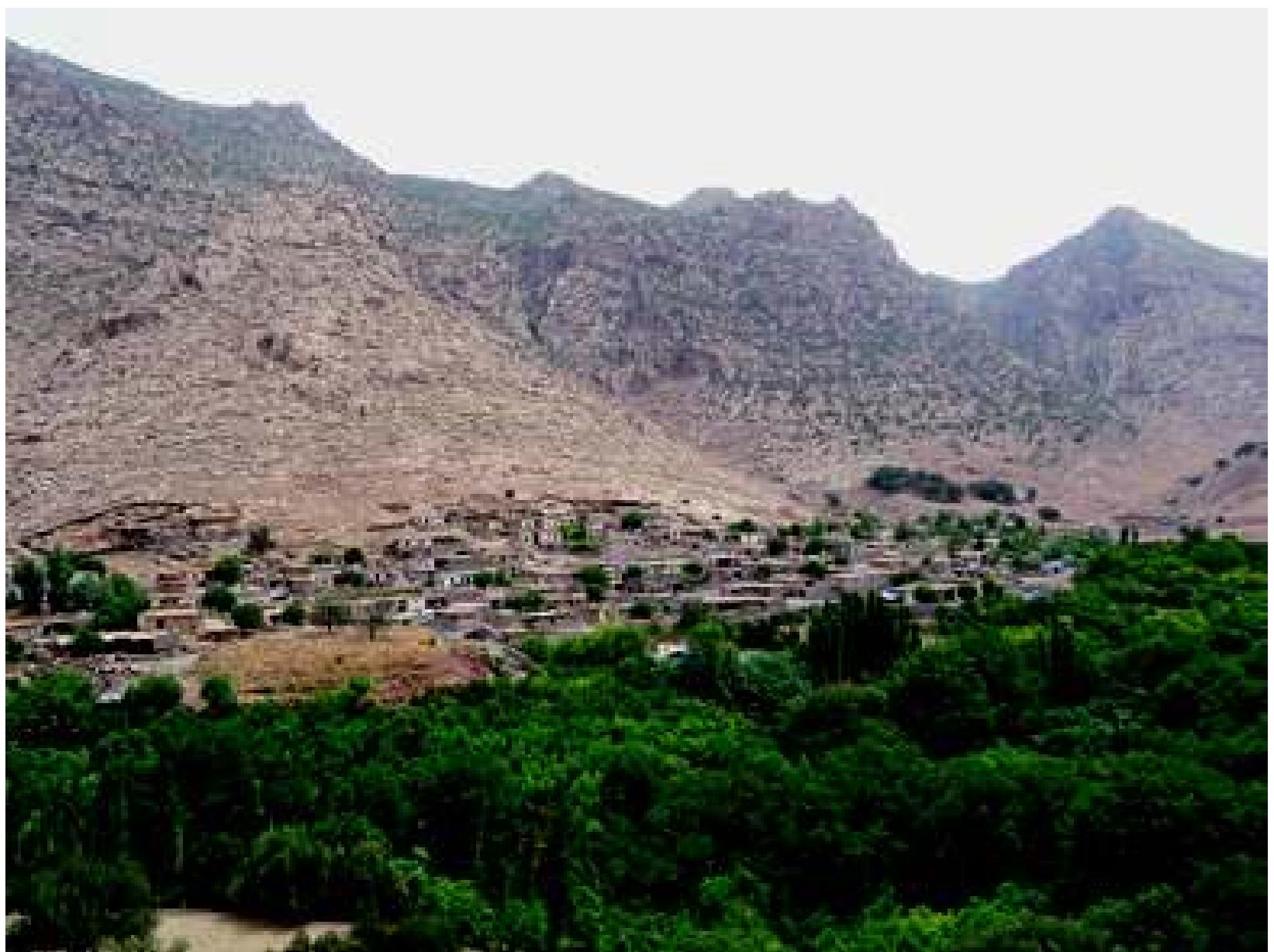 Fig. 9: Gunduk village and gardens: looking east, with mound on left. Photograph: authors, June 2009 
