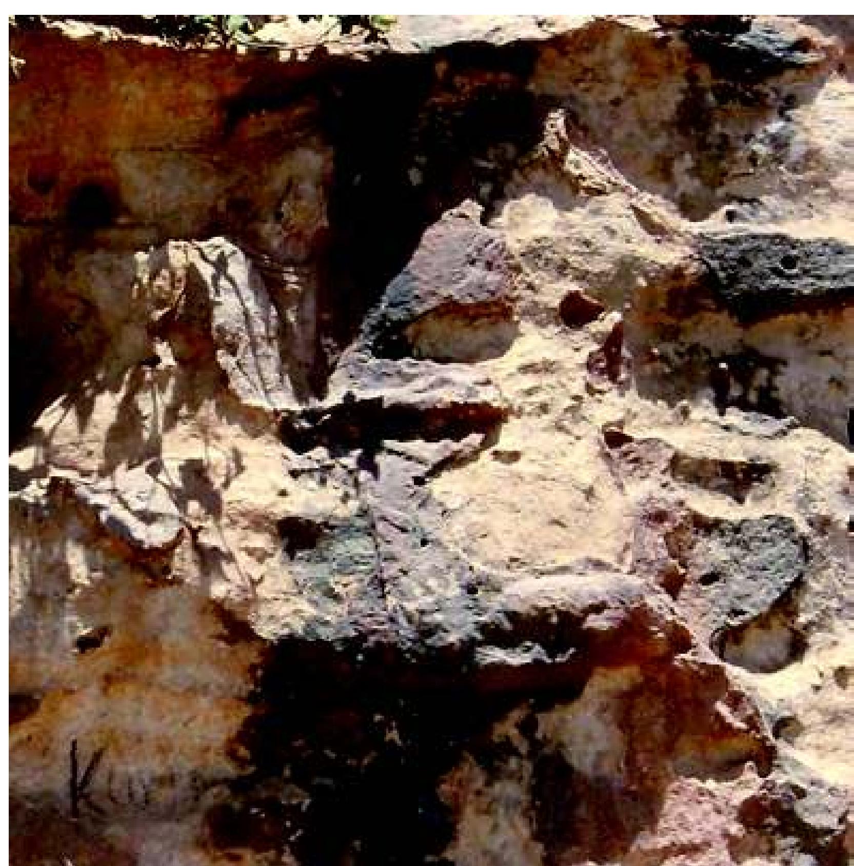 Fig. 57: Khanes: Rider Relief, details of horse and rider. Photograph: authors, June 2009 