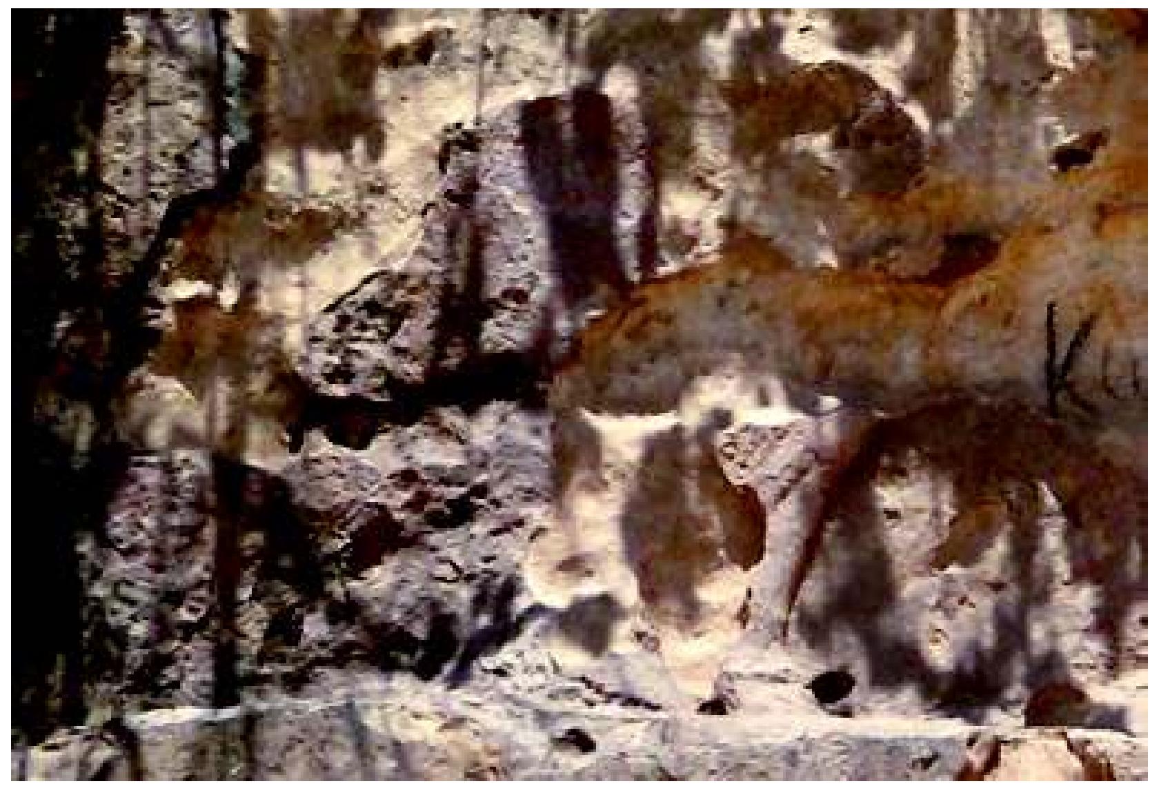 Fig. 58: Khanes: Rider Relief, detail of hindlegs of horse. Photograph: authors, June 2009 
