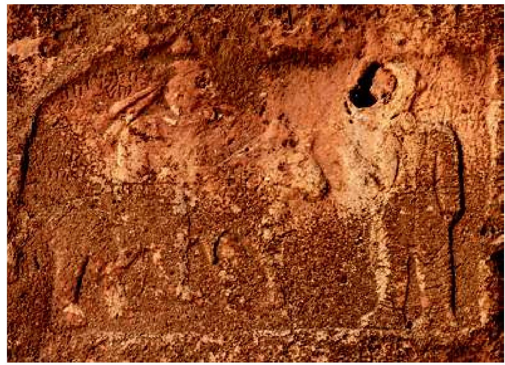 Fig. 62: Parthian rider on “Gotarzes” rock-sculpture, Sar-e Pul. Photograph: Erik Smekens. © BAMI - Belgian Archaeological Mission in lran. By courtesy of Bruno Overlaet 
