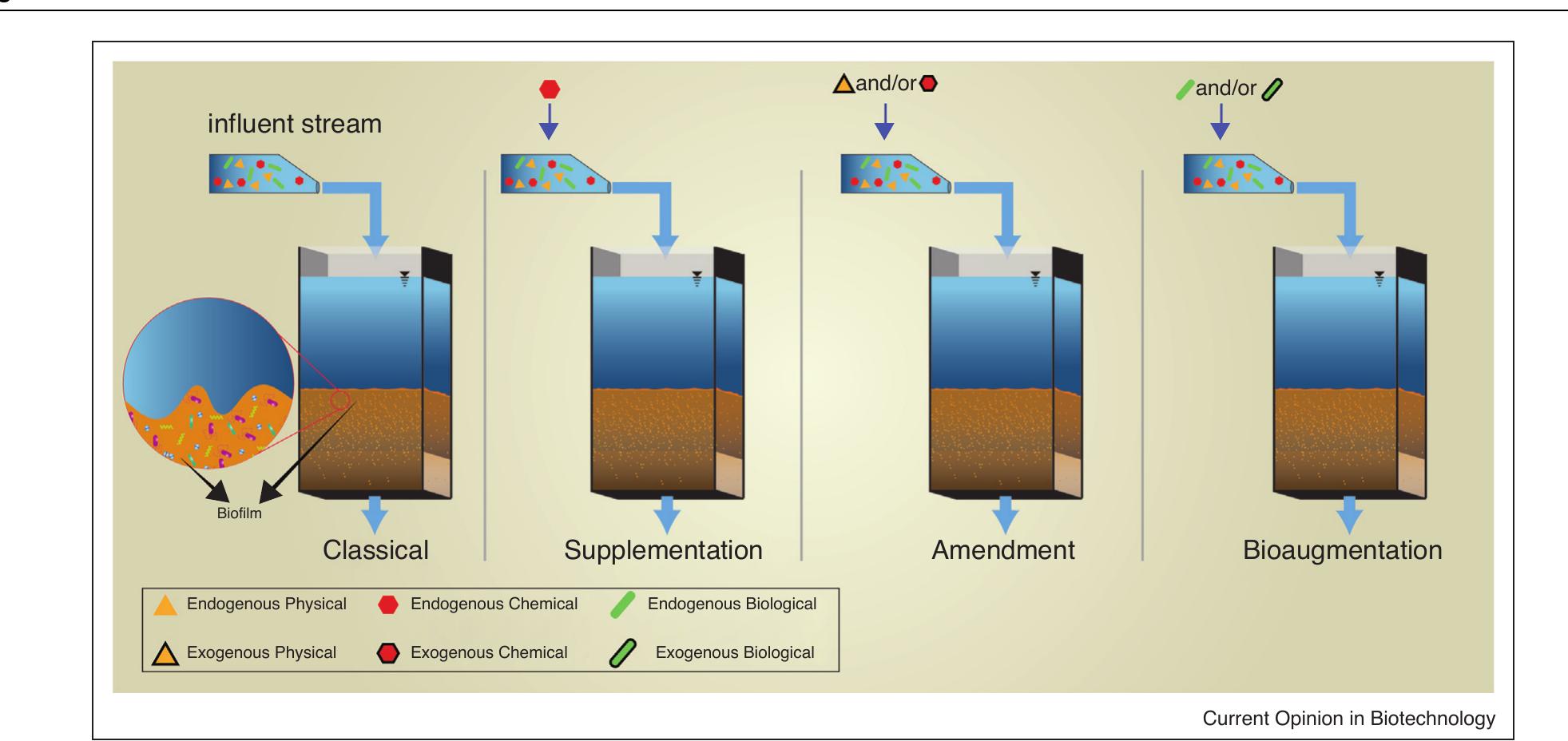 (PDF) Applying biotechnology for drinking water biofiltration ...