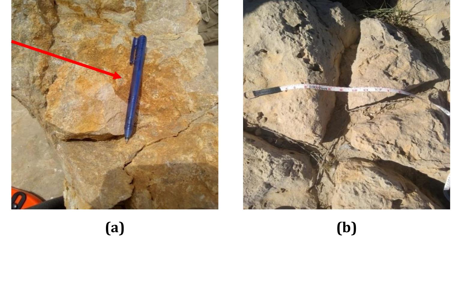 Prain (fig.4d). as per dunham (1962) classification, pml is