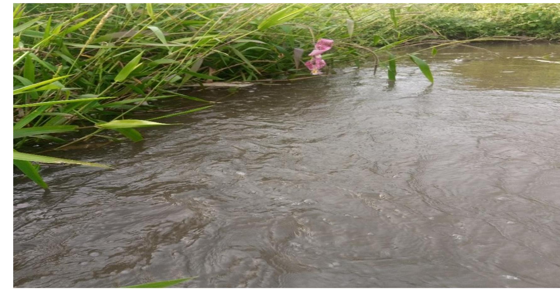 Stream Figure Figure 2 - from HYDROGRAPHIC FLOWS IN AROUND THE DEVELOPED