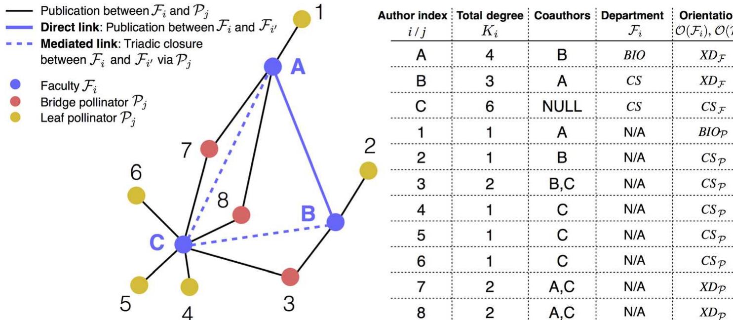 Construction of the ¥ network. schematic network, serving as