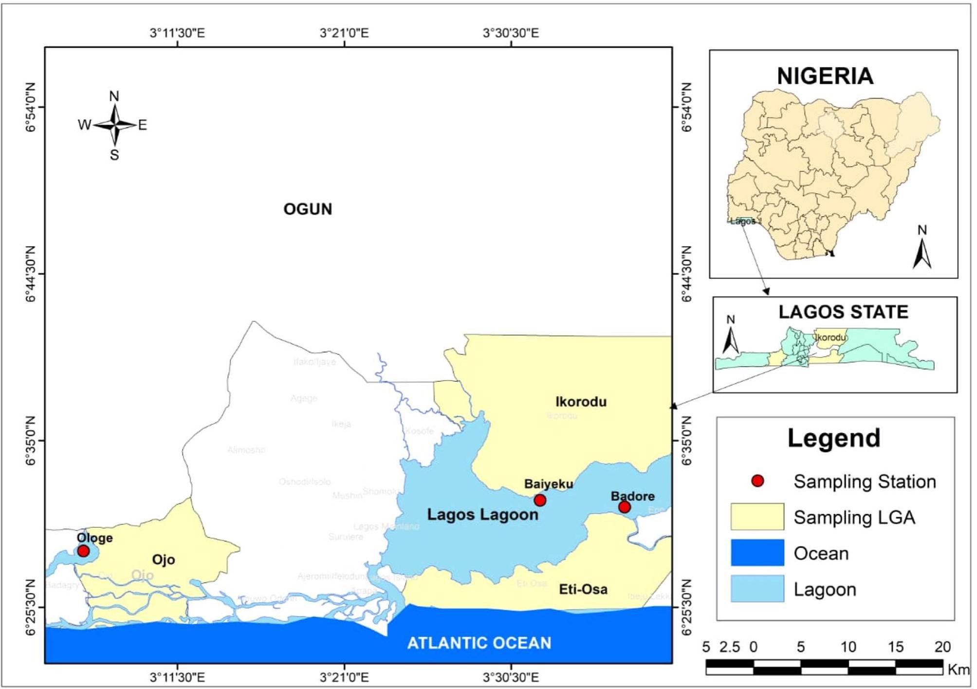 Fig. 1. Map of sampling stations {Lagos Lagoon (Badore and Baiyeku) and Ologe Lagoon}.  Three sampling stations (Fig. 1) were selected for this study based or the following criteria: distribution of S. melanotheron and presence o! human activities. Two of the sampling stations (Badore and Baiyeku) are in Lagos Lagoon while the third is Ologe Lagoon. These water bodies have a long history of pollution due to high levels of industrial activities. particularly Ologe Lagoon which receives effluents from Agbara Indus: trial Estate [20]. The companies in this estate produce pharmaceutical products, batteries, paint, glass, etc. Sand mining is also common ir  Apart from source identification, the quantity and potential impacts of PTEs on different compartments of the aquatic ecosystem are crucial to the sustainability of the ecosystem. PTEs are often found in low quantities in water and reach significant concentrations in sediments and biota [20]. Due to their high persistence and potential toxicity to living things, PTEs, comprising both essential and non-essential ele- ments, are particularly significant in the field of ecotoxicology [13]. Nowadays, the study of PTE pollution goes beyond the mere monitoring of these pollutants in various compartments of aquatic ecosystems. It involves the use of models or indices to predict the potential conse- quences of PTE pollution on aquatic ecosystems and humans [26]. Sediment pollution indices like contamination factor, enrichment factor, 