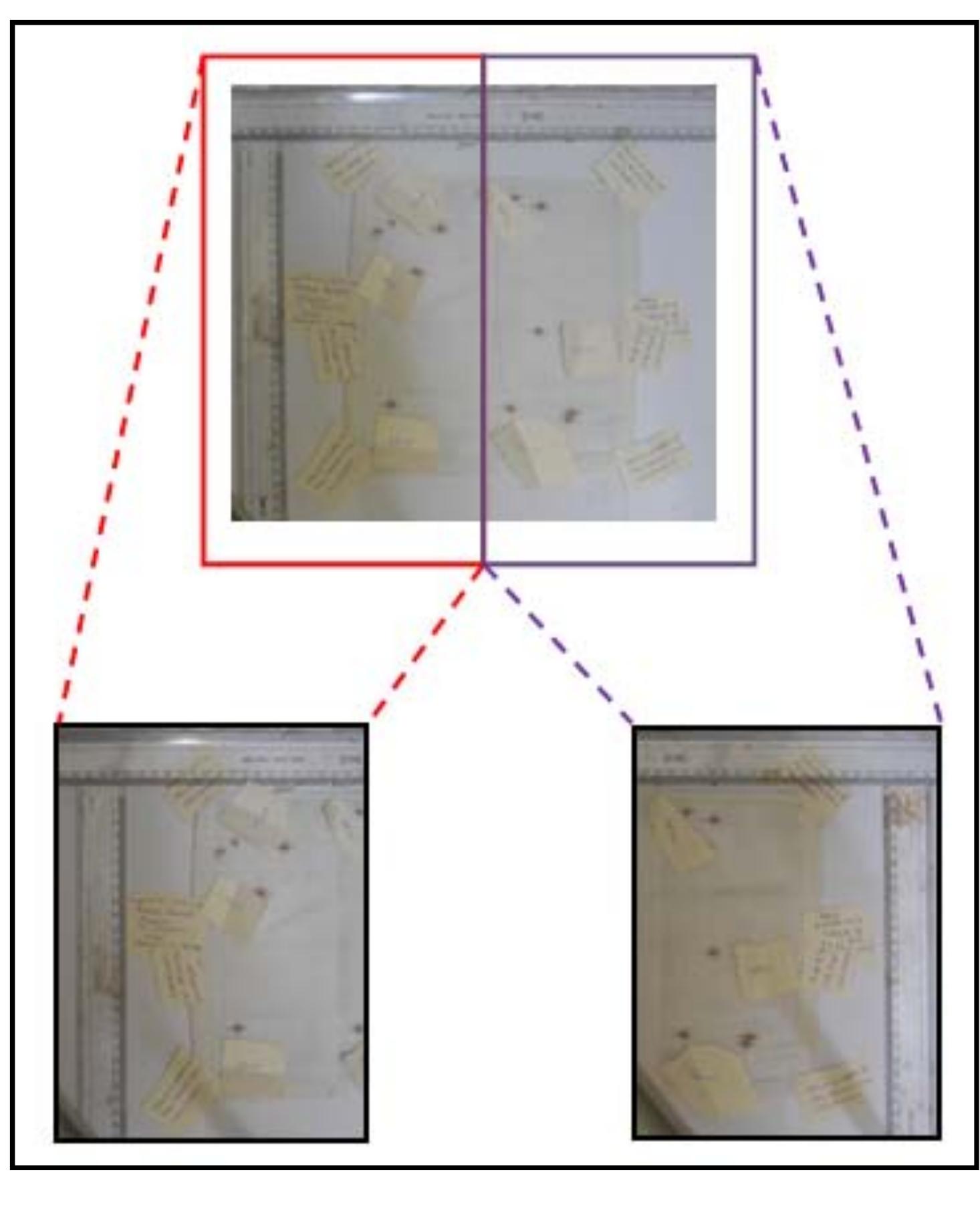 (PDF) Bloodstain Pattern Analysis on Fabric