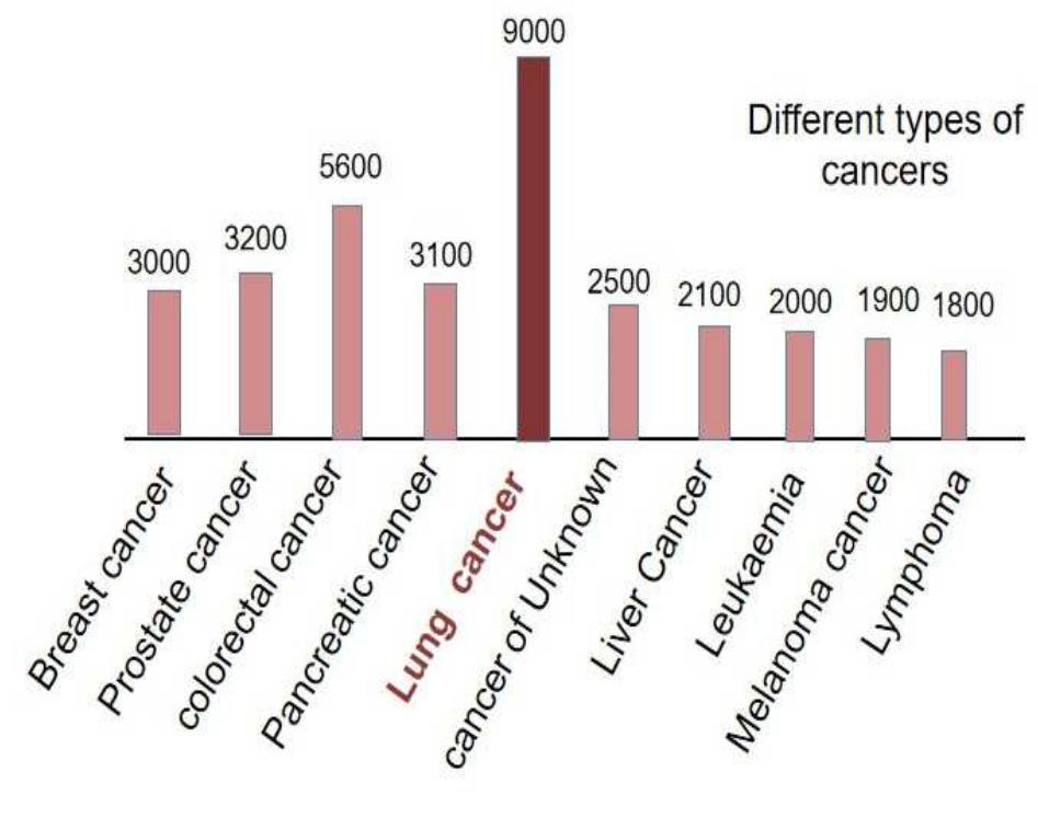 (PDF) Lung Cancer Detection Using Machine Learning and Deep Learning Models