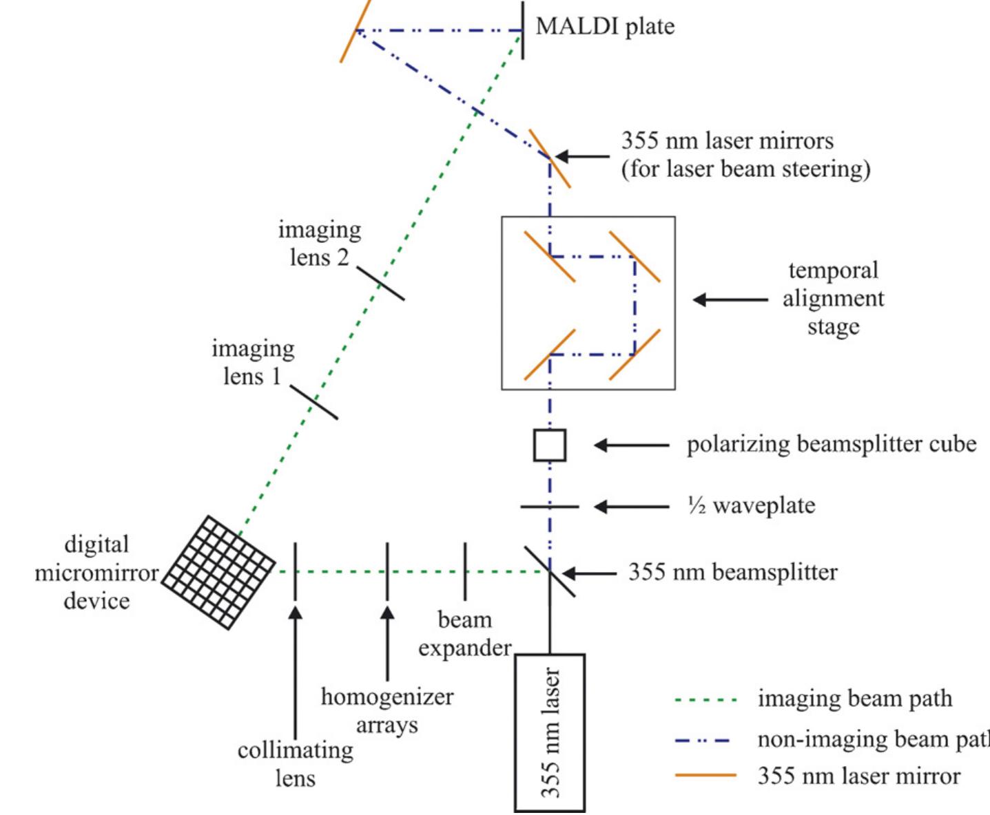 Diagram of the optical imaging system used in these studies.