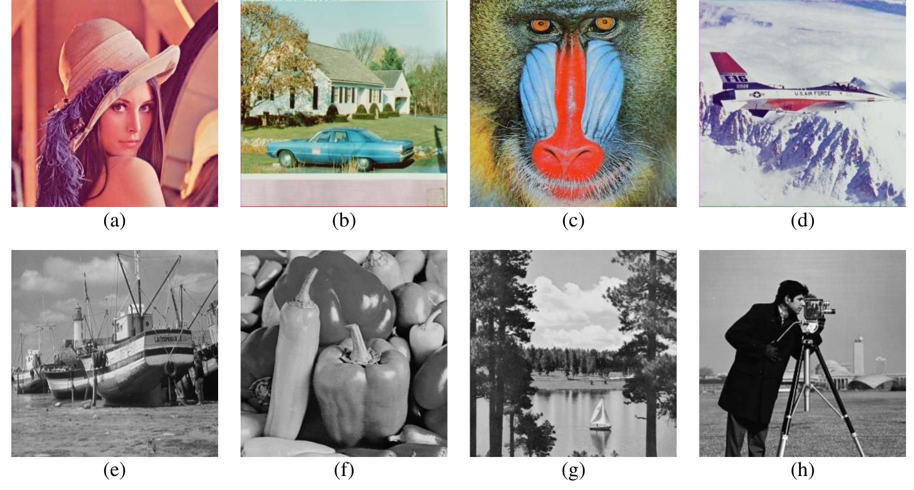 A dataset test images: (a) lena, (b) house, (c) baboon, (d)