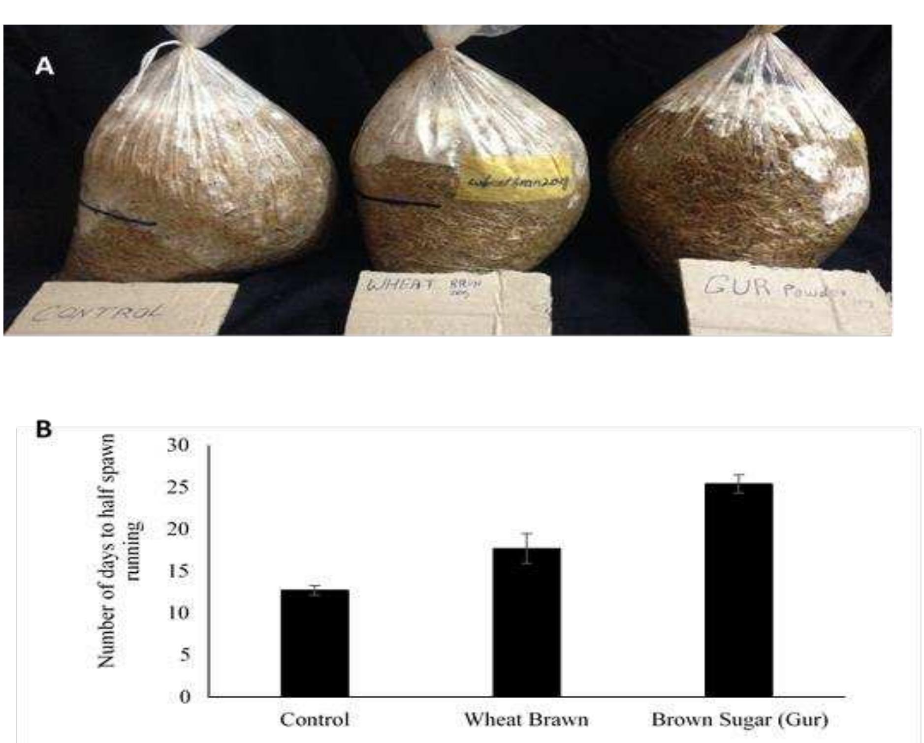 (PDF) Effect of wheat bran and brown sugar on the yield of oyster ...