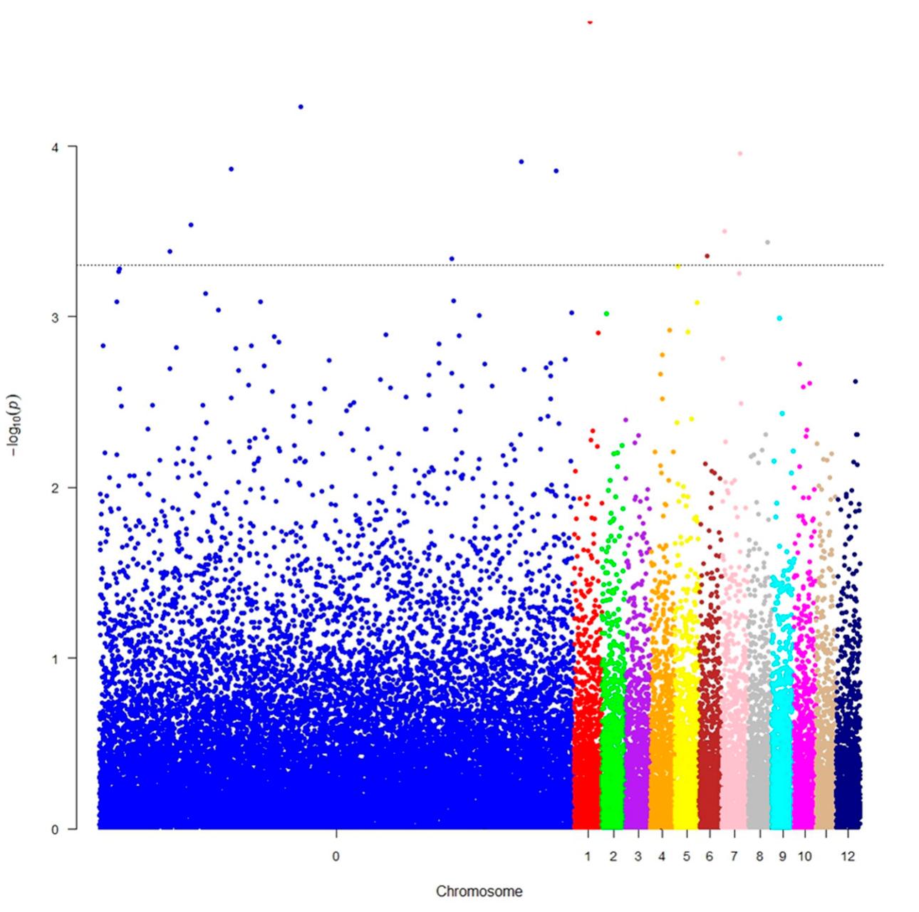 Manhattan plot. the x-axis represents the position of snps