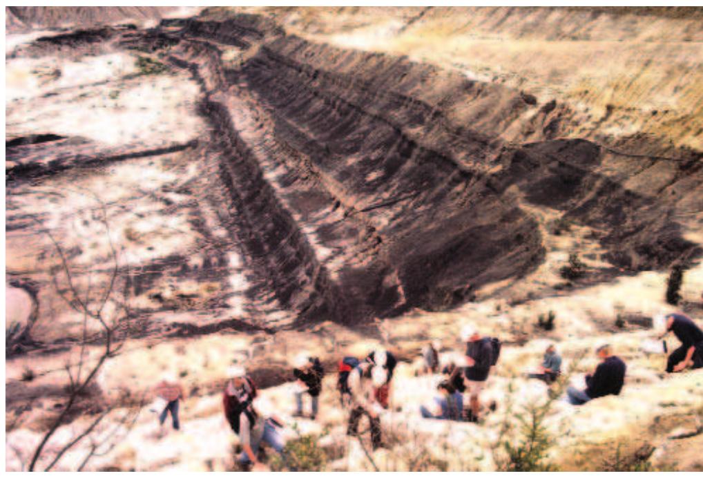 PDF) Tertiary a period of transition to marine basin