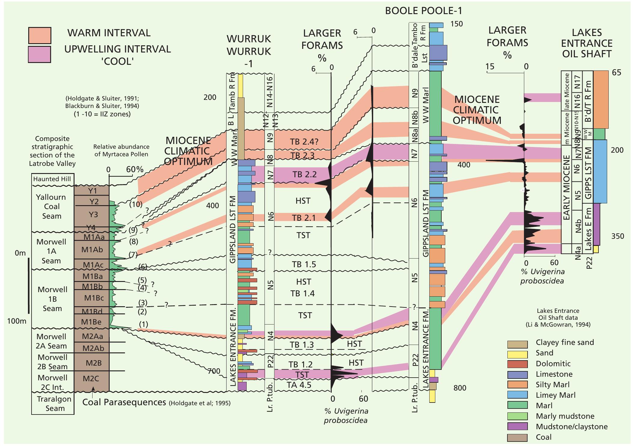ＣHERRY  PDF) Tertiary a period of transition to marine basin