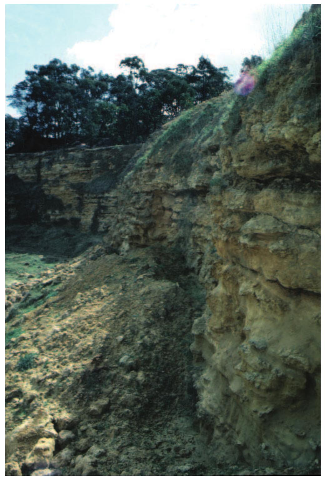 PDF) Tertiary a period of transition to marine basin environments