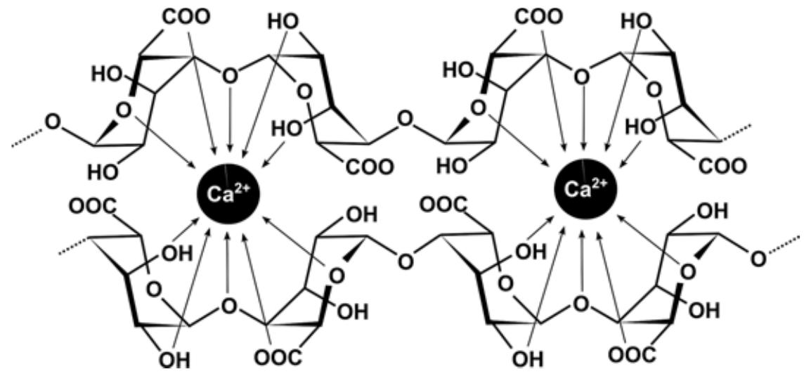 (PDF) 4 Marine biopolymers: alginate and chitosan