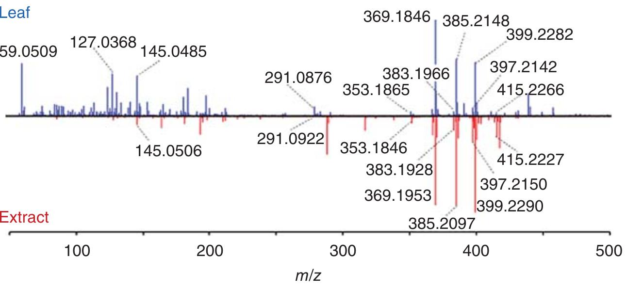 1 positive-ion mode hr-dart-tof mass spectra of a leaf