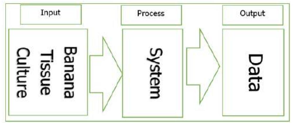 Conceptual Framework Example Arduino (PDF) Automated relative humidity and temperature control system for ...