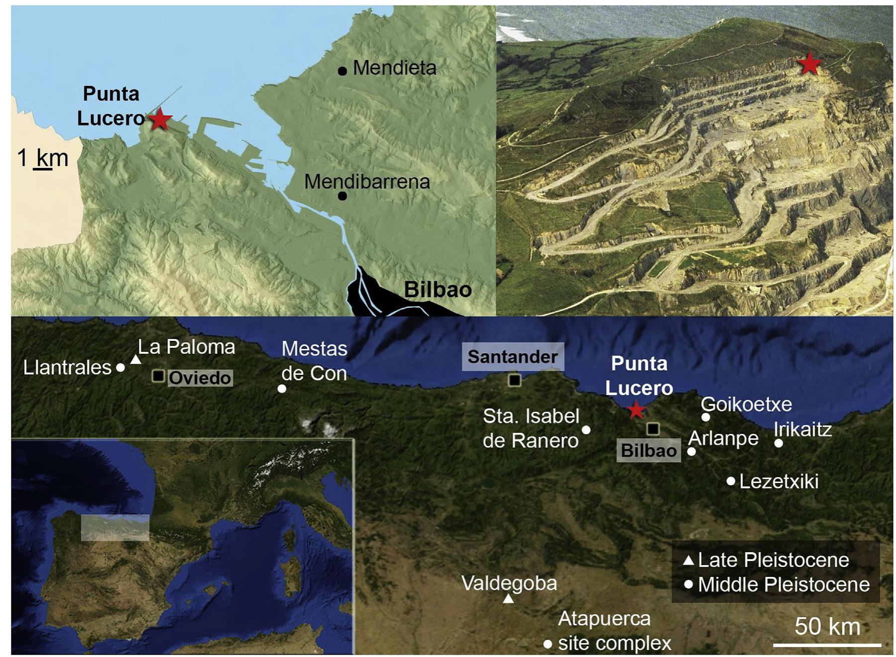 (PDF) New insights into the Middle Pleistocene paleoecology and ...
