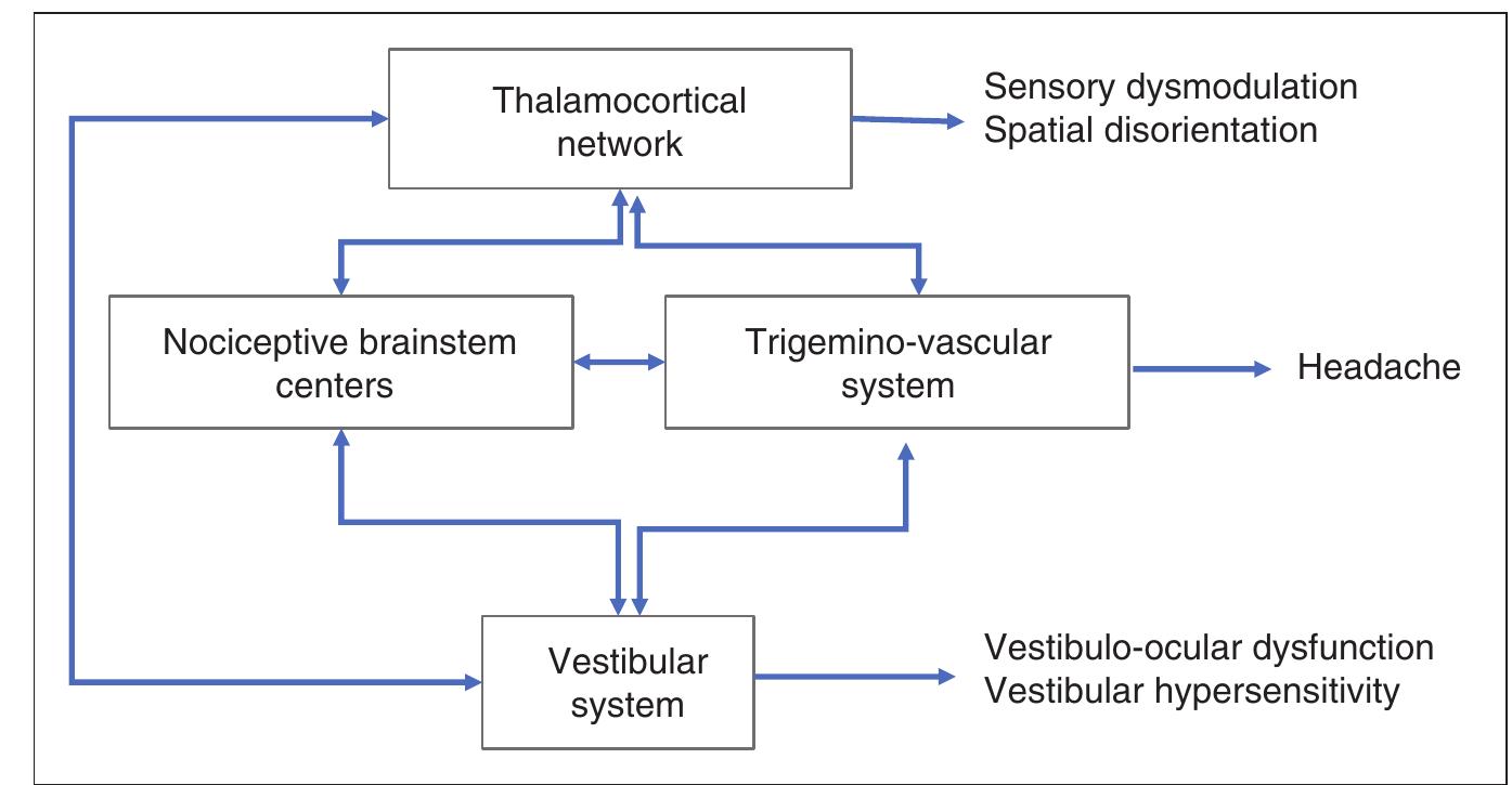 Possible mechanisms involved in the pathogenesis of