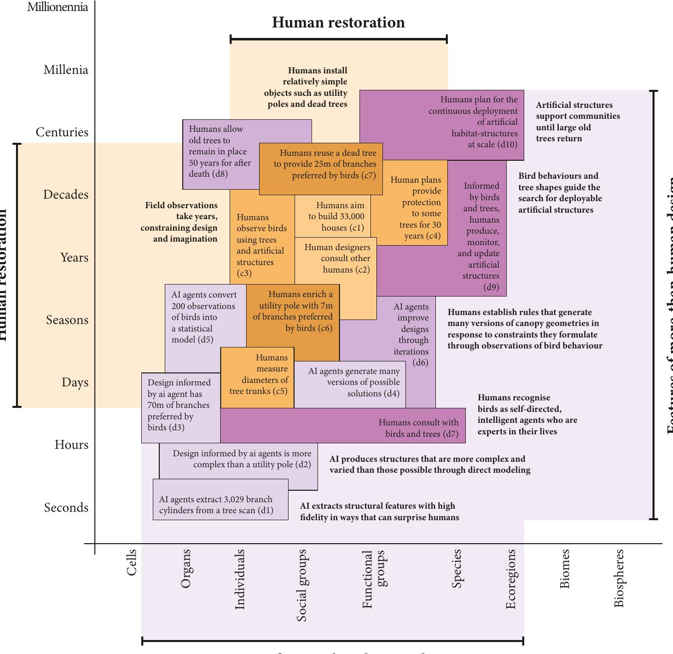 Figure 5.8 Existing restoration (orange) and more-than-human design that learns from nonhuman contributions (purple).  Image by the authors. 