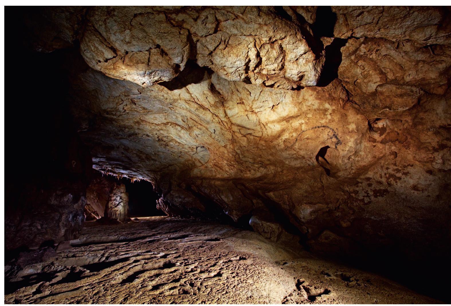 Fig. 5. Coliboaia cave — general view. The “Art Galery”
