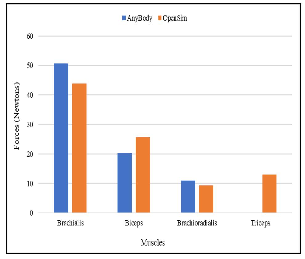 (PDF) Comparison of OpenSim and AnyBody modeling system™ predictions in ...