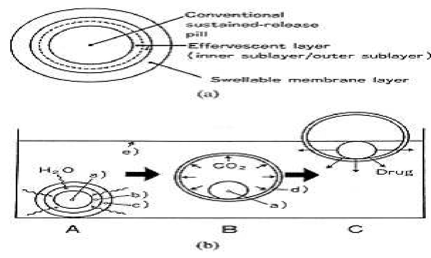 Capsule Type Float (PDF) FLOATING INSITU GELLING SYSTEM: A REVIEW