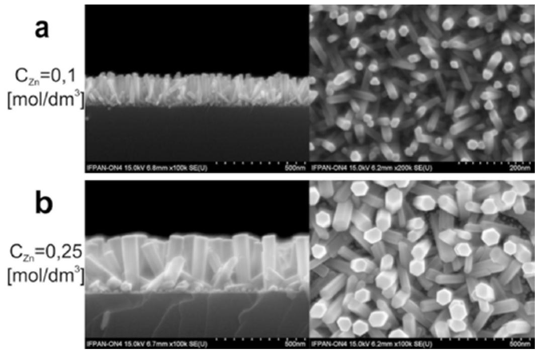 Ire9 scanning electron microscope images of zno nanorods for