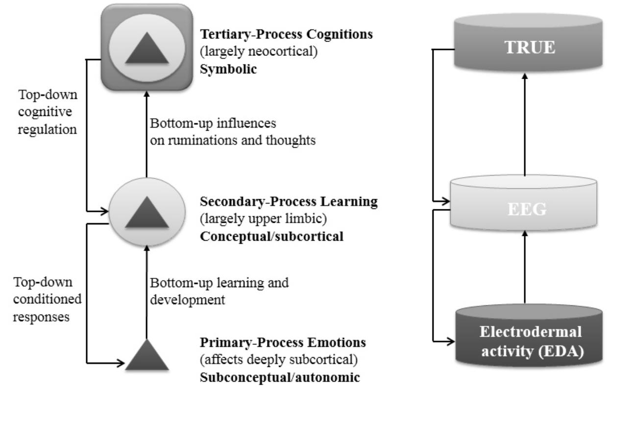 Panksepp Rage System ‘these systems are used in capitalized letters to