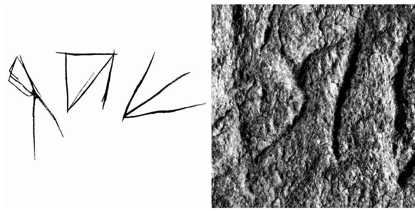 Fig. vi: Facsimile drawing of LexLep TI-6 (© Corinna Salomon). 