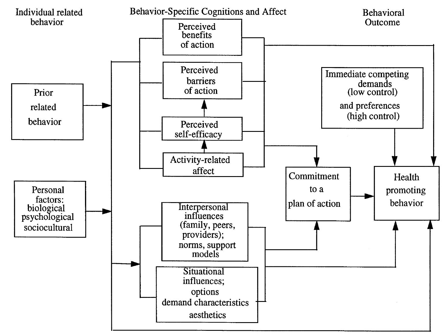 High Promotion Model (PDF) Test of the health promotion model as a causal model of ...