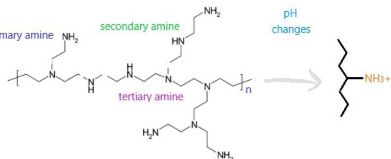 (PDF) The Potential Use of Polymeric Nanomaterials Against the Spread ...