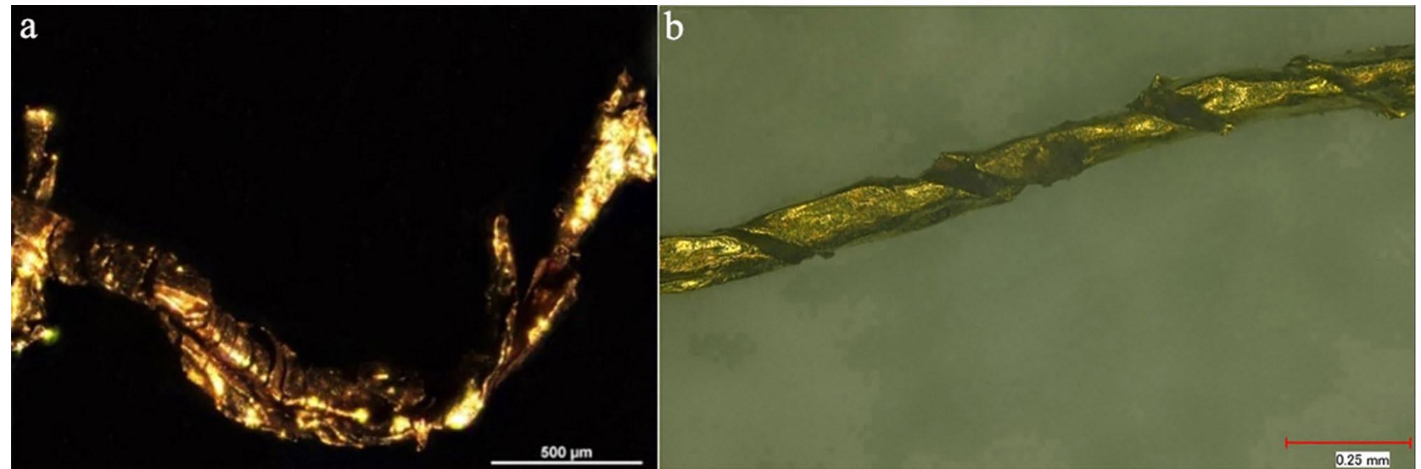 Fig. 7: Gold threads: a) area showing overlapping strips (inv. n. 75019a); b) detail of the gold threads under magnification (Pompeii; inv. no.11336) (Photos: Francesca Coletti). 
