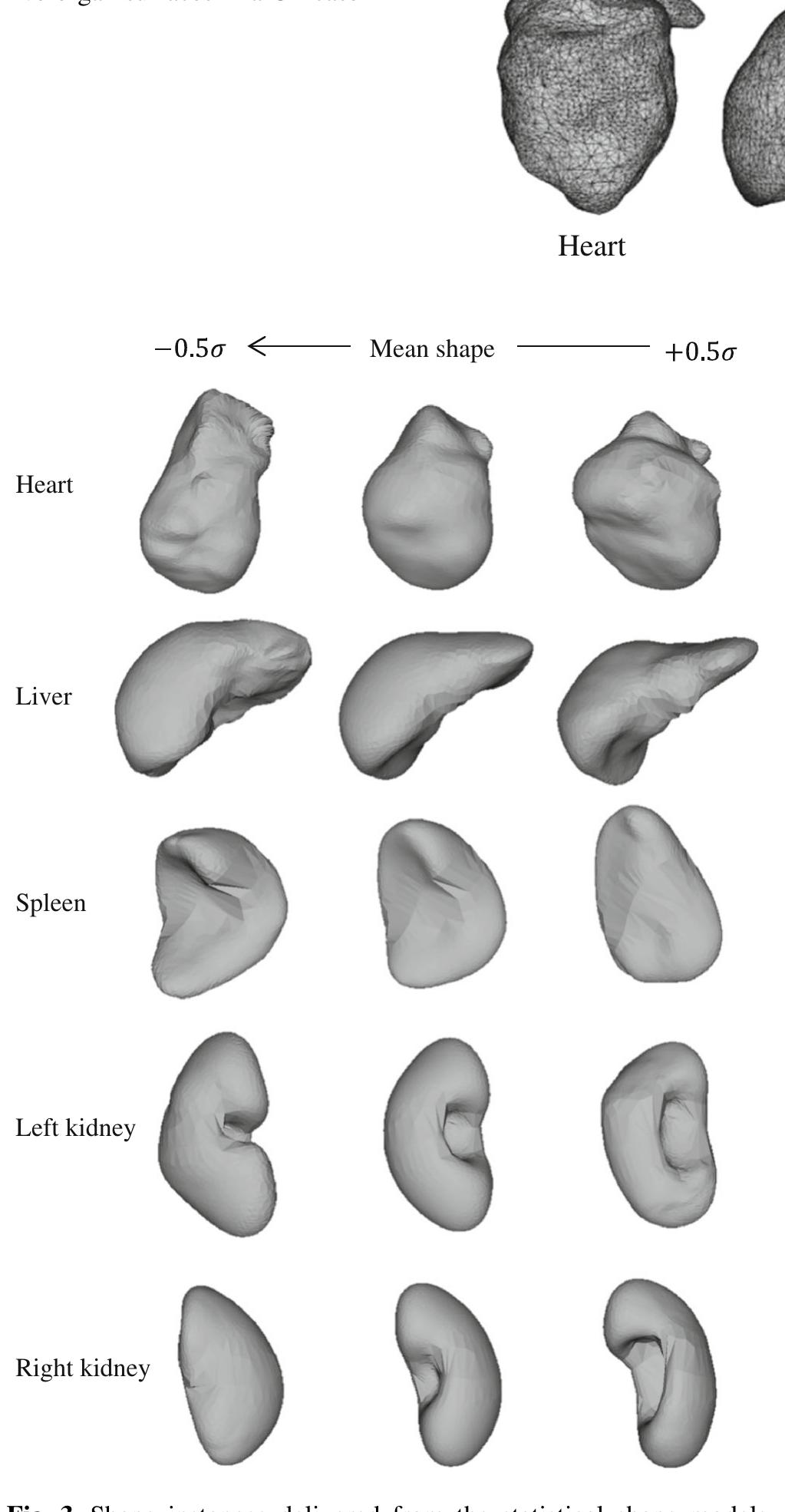 Turso Shape (PDF) Development and evaluation of statistical shape modeling for ...