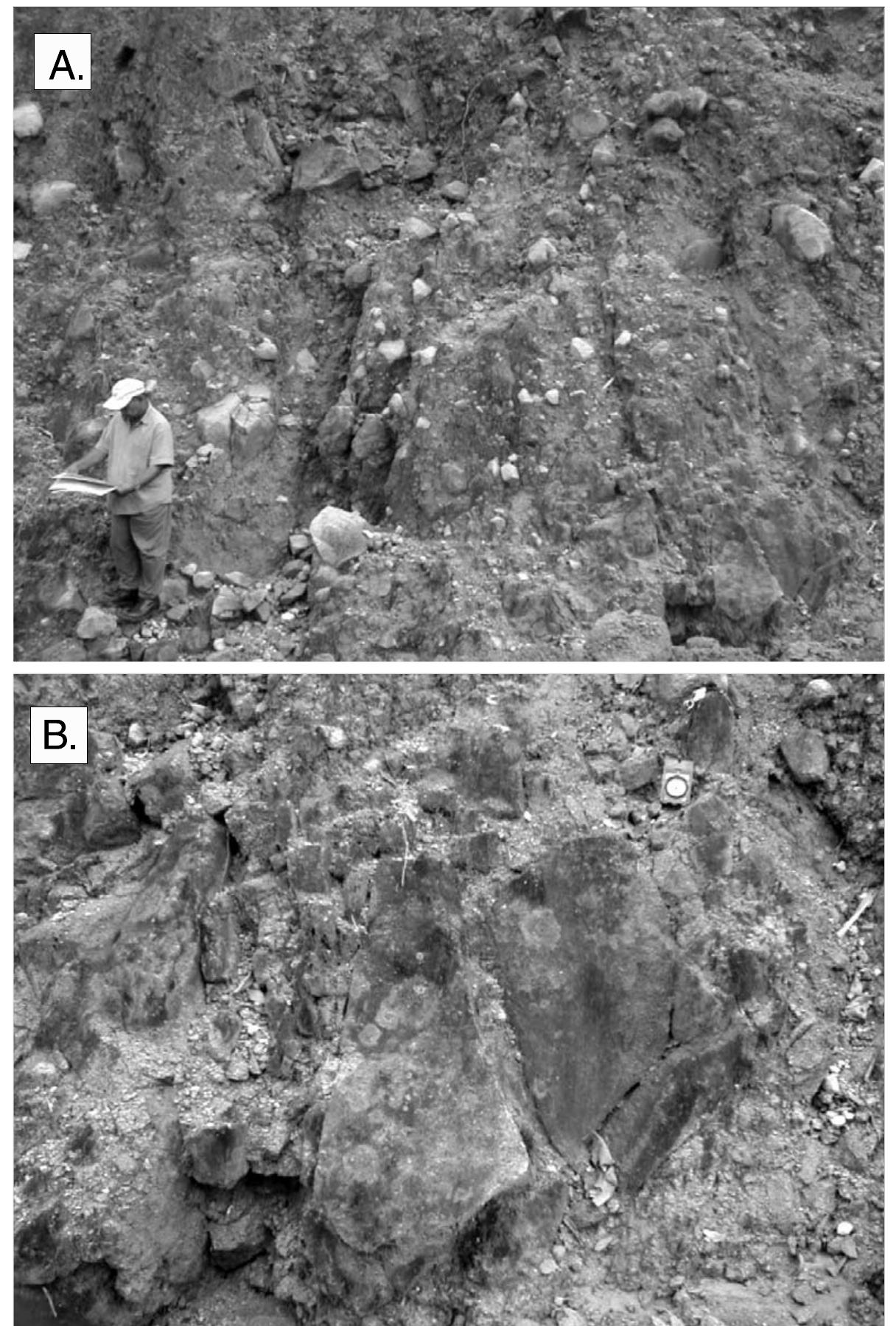 Photographs of the landslide deposit. (a) the landslide