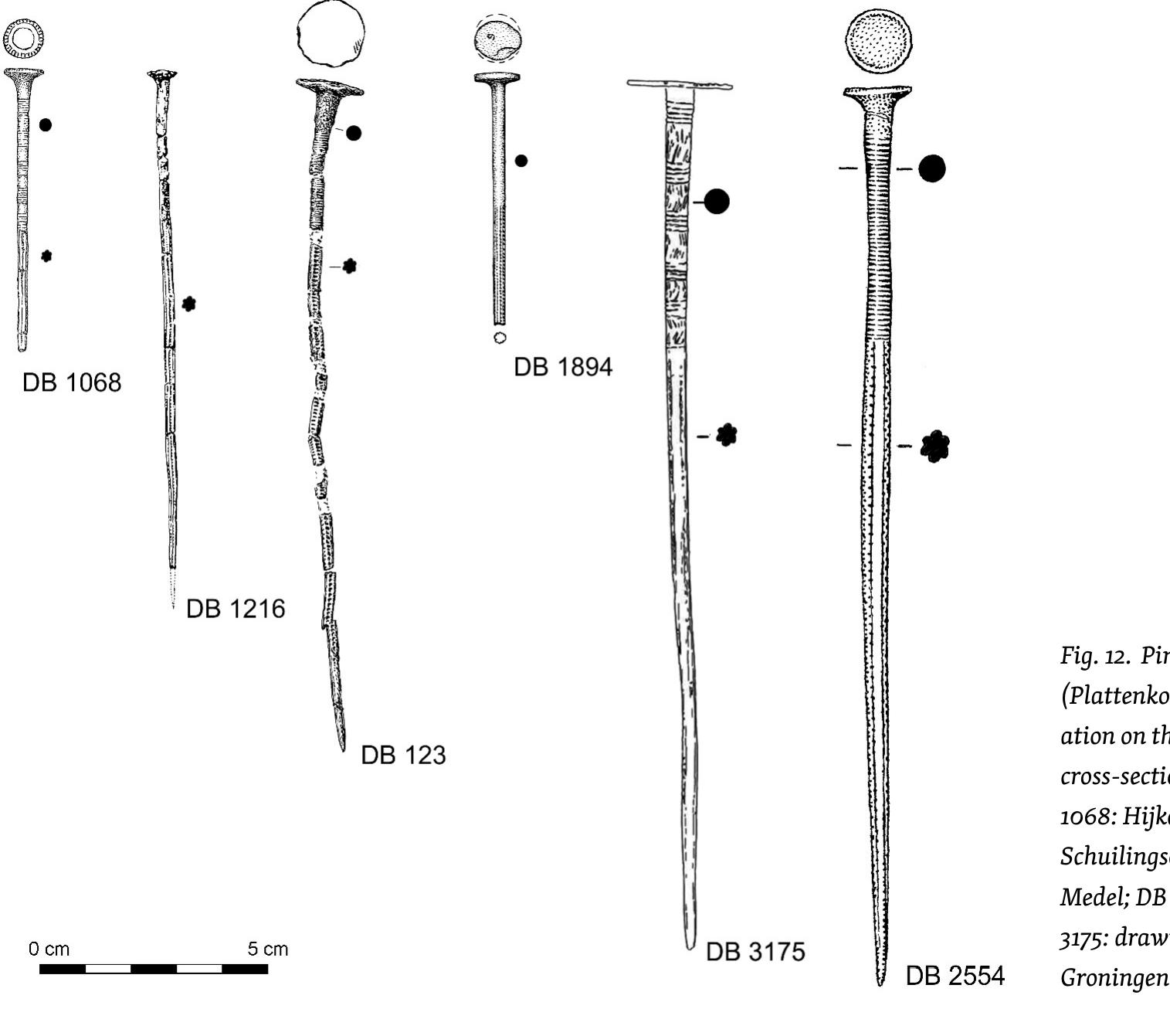 (DB 2683) Hijkerveld, gemeente Midden-Drenthe, Drenthe. From the hoard 