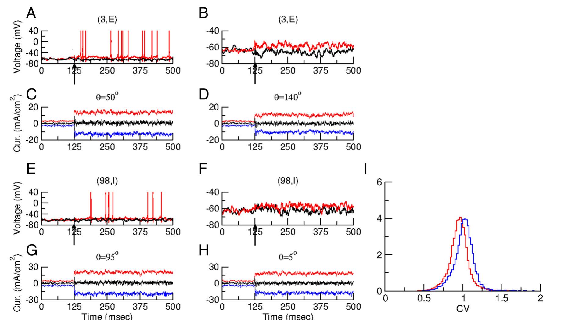 (PDF) The Mechanism of Orientation Selectivity in Primary Visual Cortex ...
