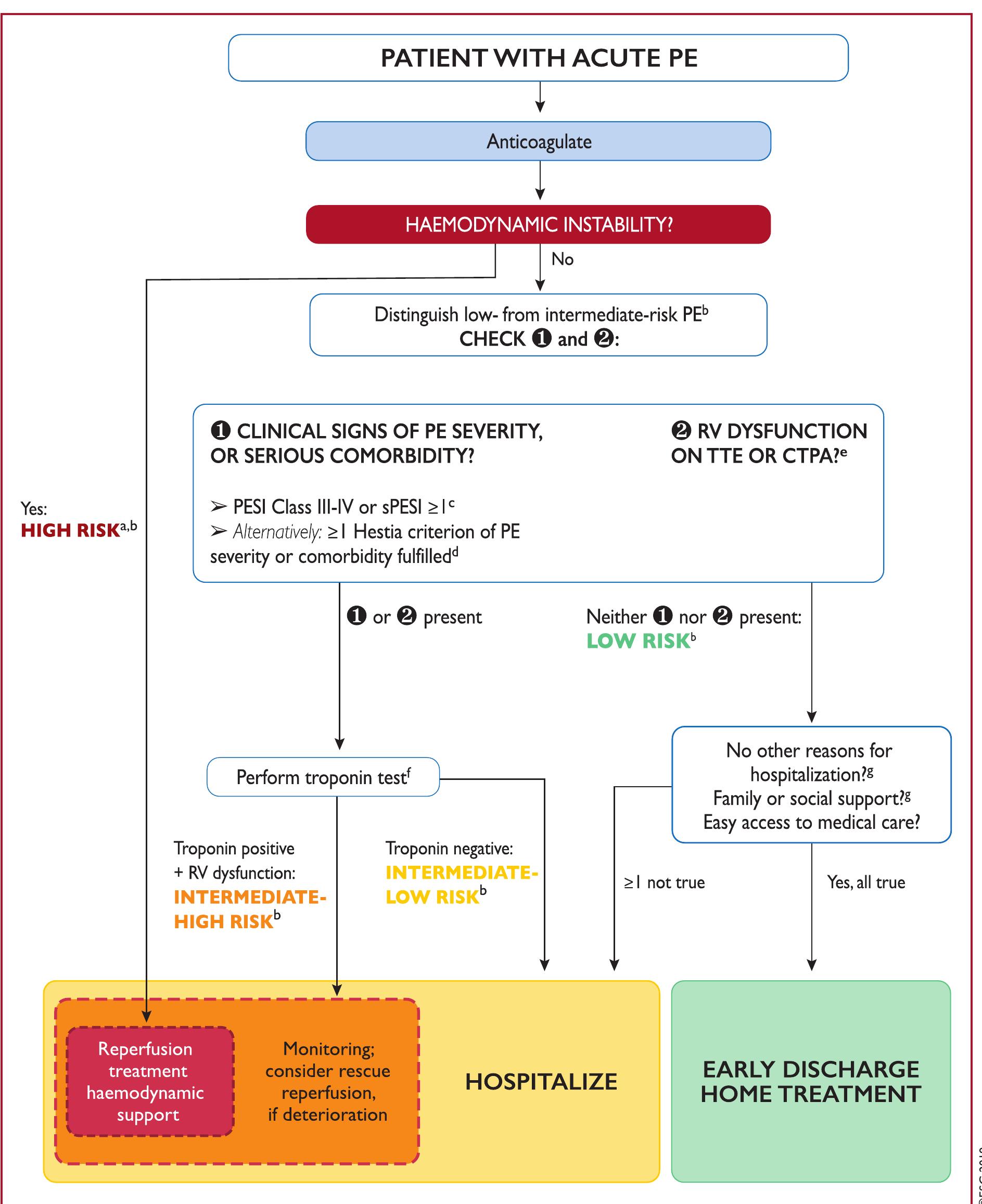 (PDF) 2019 ESC Guidelines for the diagnosis and management of acute ...
