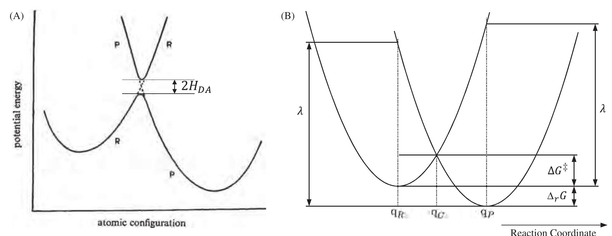 Marcus Theory Normal Vs Inverted (PDF) Electron Transfer: Basic Theory, Experiments and Computational ...