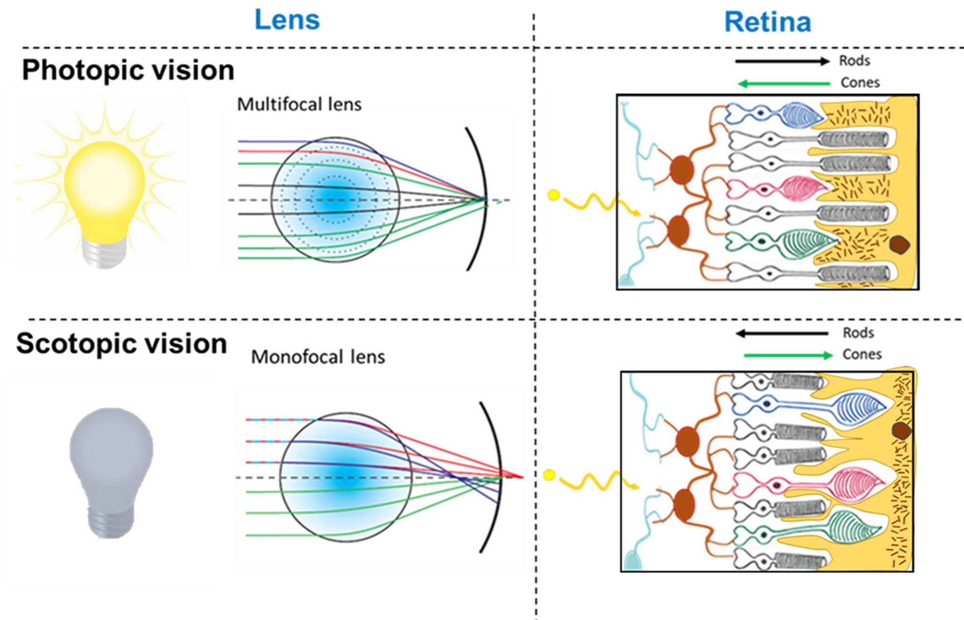 (PDF) Guidelines for Evaluating Artificial Light to Mitigate Unwanted ...