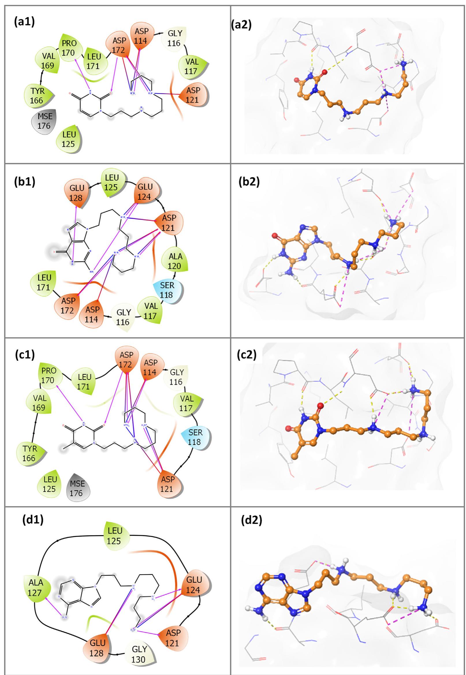Figure 2 - from Targeting neuroblastoma by small-molecule